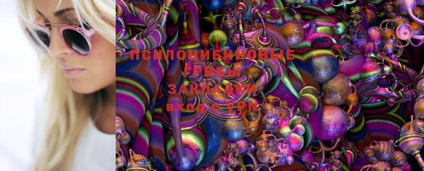 винт Алзамай